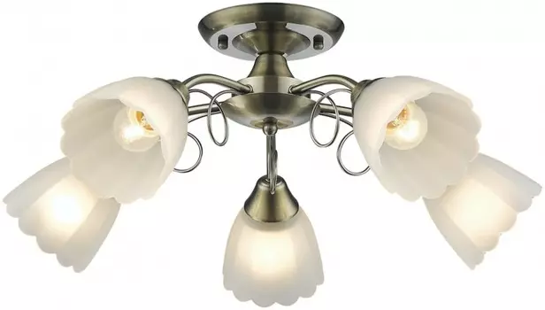 708-507-05 Потолочная люстра Velante