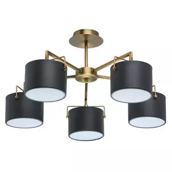 721010205 Потолочная люстра MW-Light Сайрус