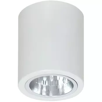 7234 Накладной точечный светильник Luminex DOWNLIGHT ROUND