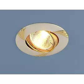 8004 MR16 PS/GD Встраиваемый светильник Elektrostandard перл.серебро/золото (a031840)