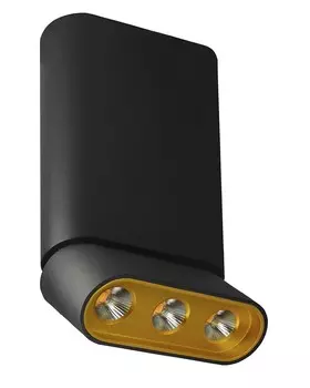 8005/3CM-BK-GD Светильник накладной светодиодный Lumien Hall Фергус