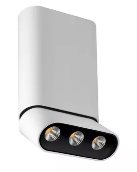 8005/3CM-WT-BK Светильник накладной светодиодный Lumien Hall Фергус