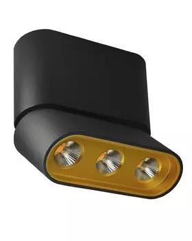 8005/3CS-BK-GD Светильник накладной светодиодный Lumien Hall Фергус