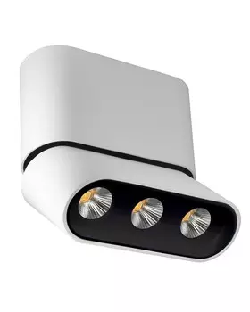 8005/3CS-WT-BK Светильник накладной светодиодный Lumien Hall Фергус