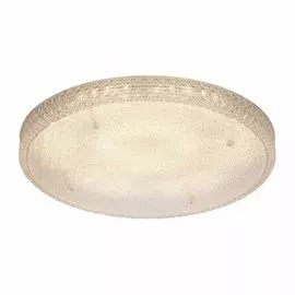 840.60.7 Настенно-потолочный светодиодный светильник Silver Light New Retro