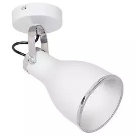 9164 Спот Luminex BJORN