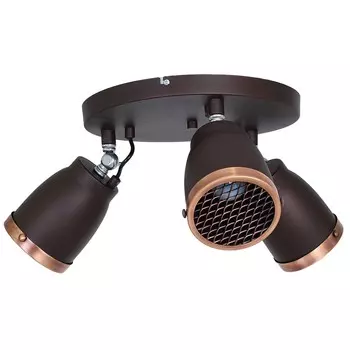 9232 Спот Luminex AILA