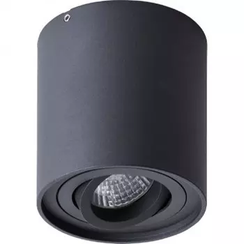 Накладной светильник Arte Lamp Galopin A1460PL-1BK