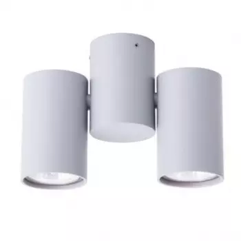 A1511PL-2GY Потолочный точечный накладной поворотный светильник Arte Lamp Gavroche