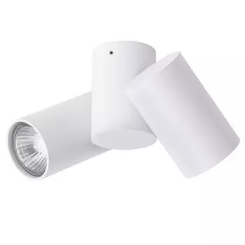 A1511PL-2WH Потолочный точечный накладной поворотный светильник Arte Lamp Gavroche
