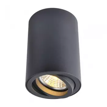 Накладной светильник Arte Lamp Sentry A1560PL-1BK