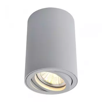 A1560PL-1GY Точечный накладной светильник Arte Lamp