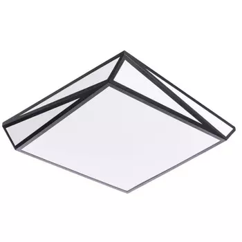 Потолочный светодиодный светильник с пультом Arte Lamp Multi-piazza A1929PL-1BK