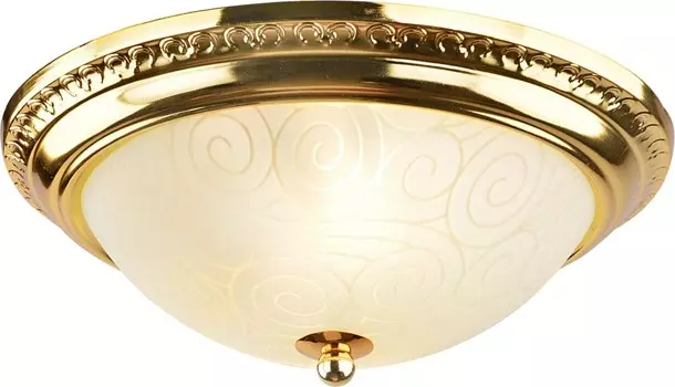 A3013PL-2GO Потолочный светильник Arte Lamp 28