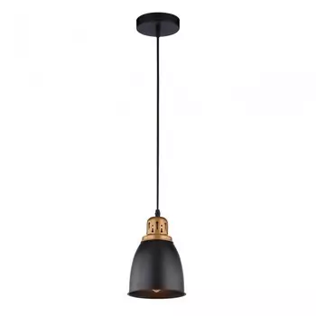 A4248SP-1BK Подвесной светильник Arte Lamp Eurica