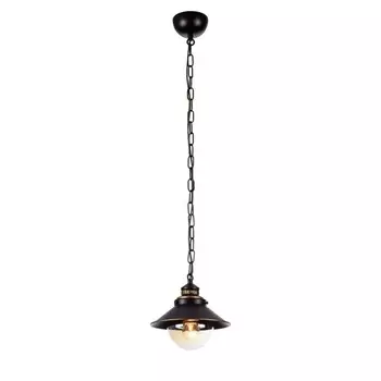 Подвесной светильник Arte Lamp Grazioso A4577SP-1CK