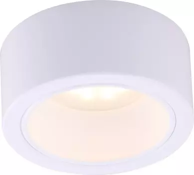 A5553PL-1WH Накладной точечный светильник Arte Lamp Effetto