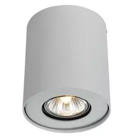 A5633PL-1WH Накладной точечный светильник Arte Lamp Falcon