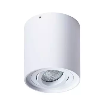 A5645PL-1WH Потолочный точечный светильник Arte Lamp Falcon