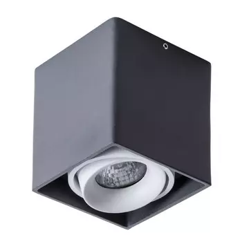 A5654PL-1BK Светильник потолочный Arte Lamp Pictor