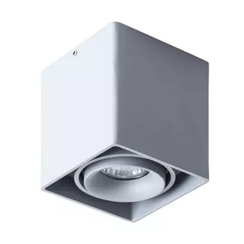 A5654PL-1GY Светильник потолочный Arte Lamp Pictor