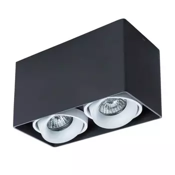 A5654PL-2BK Светильник потолочный Arte Lamp Pictor