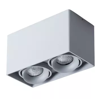 A5654PL-2GY Светильник потолочный Arte Lamp Pictor