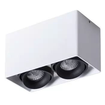 A5654PL-2WH Светильник потолочный Arte Lamp Pictor