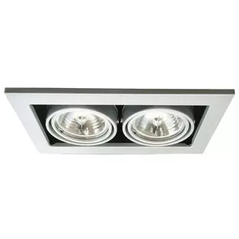 A5930PL-2SI Встраиваемый поворотный точечный светильник Arte Lamp Technika