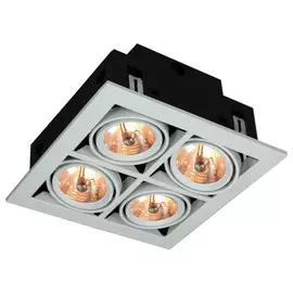 A5930PL-4WH Встраиваемый поворотный точечный светильник Arte Lamp Cardani