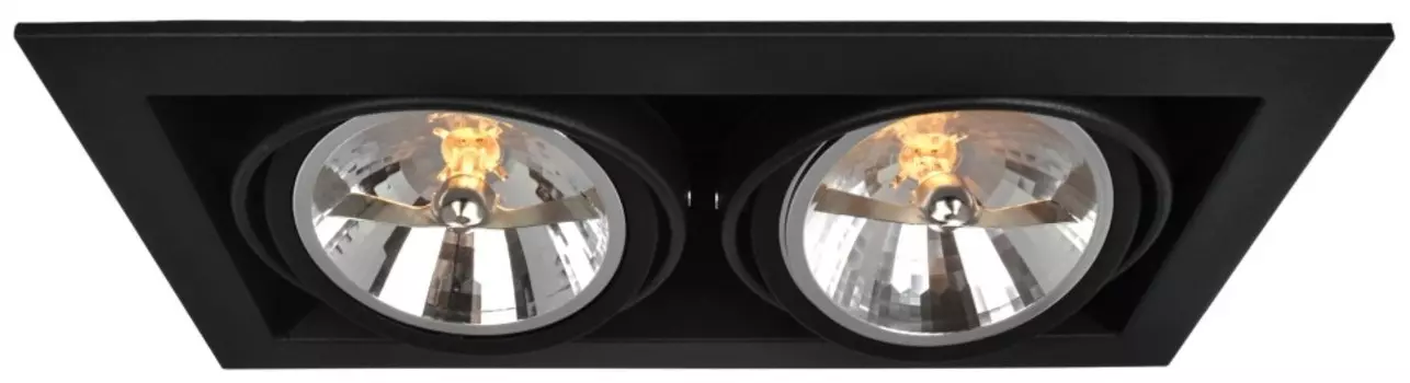 A5935PL-2BK Встраиваемый поворотный точечный светильник Arte Lamp Cardani