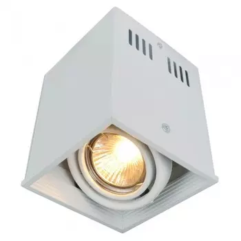 A5942PL-1WH Накладной поворотный точечный светильник Arte Lamp Cardani