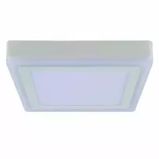 A7716PL-2WH Настенно-потолочный светодиодный светильник Arte Lamp Altair