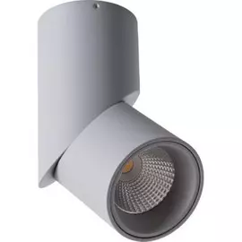 A7717PL-1GY Потолочный точечный светодиодный светильник Arte Lamp Orione