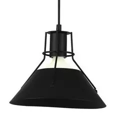 A9347SP-1BK Подвесной светильник Arte Lamp