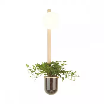 Бра со светодиодной лампочкой E14, комплект от Lustrof. №187139-624539