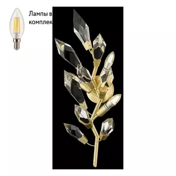 Бра в комплекте с Led лампами Wertmark WE111.03.401+Lamps