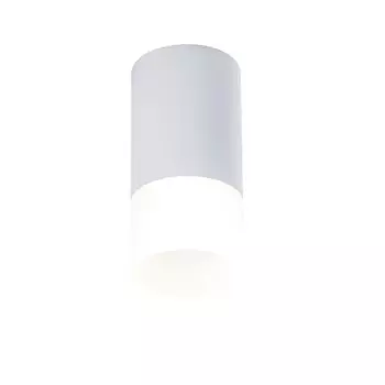 C007CW-01W Накладной точечный светильник Maytoni Pauline