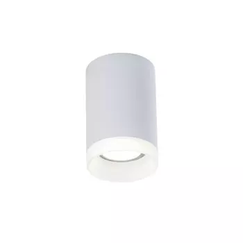 C008CW-01W Накладной точечный светильник Maytoni Pauline