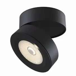 C023CL-L20B4K Светильник потолочный накладной Maytoni Treviso