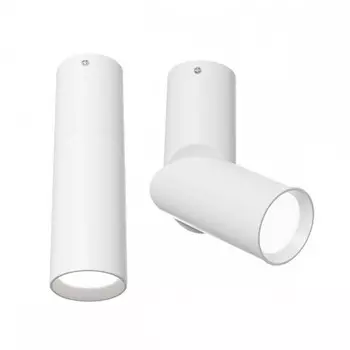 C027CL-L10W Накладной потолочный светильник Maytoni Dafne