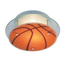 C110017/1 Светильник настенно-потолочный для детской Donolux Sport