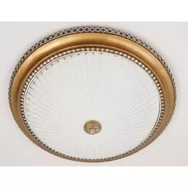 CL425502 Потолочный светодиодный светильник Citilux Тренди-2