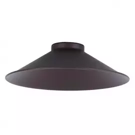 CL450.11 Плафон Citilux Эдисон