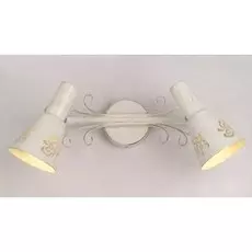 CL529522 Спот Citilux Дункан