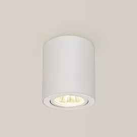 CL538111 Накладной поворотный точечный светильник Citilux Дюрен