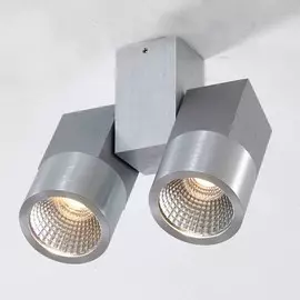 CL556101 Светодиодный светильник-спот Citilux Дубль