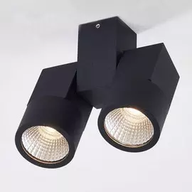 CL556102 Светодиодный светильник-спот Citilux Дубль