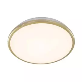 CL702222W Настенно-потолочный светодиодный светильник IP54 Citilux Луна