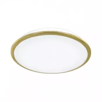 CL70342 Потолочный светодиодный светильник Citilux СтарЛайт